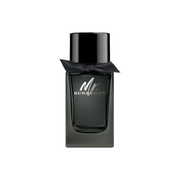 Mr. Burberry EDP for men
