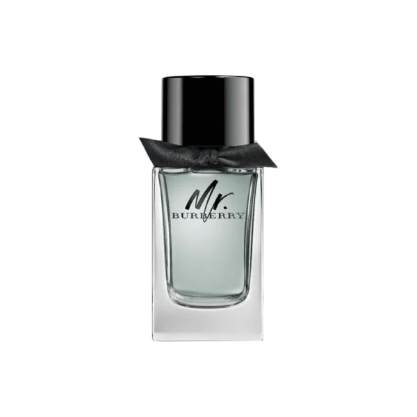 Mr. Burberry EDT for men