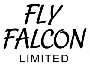 Fly Falcon
